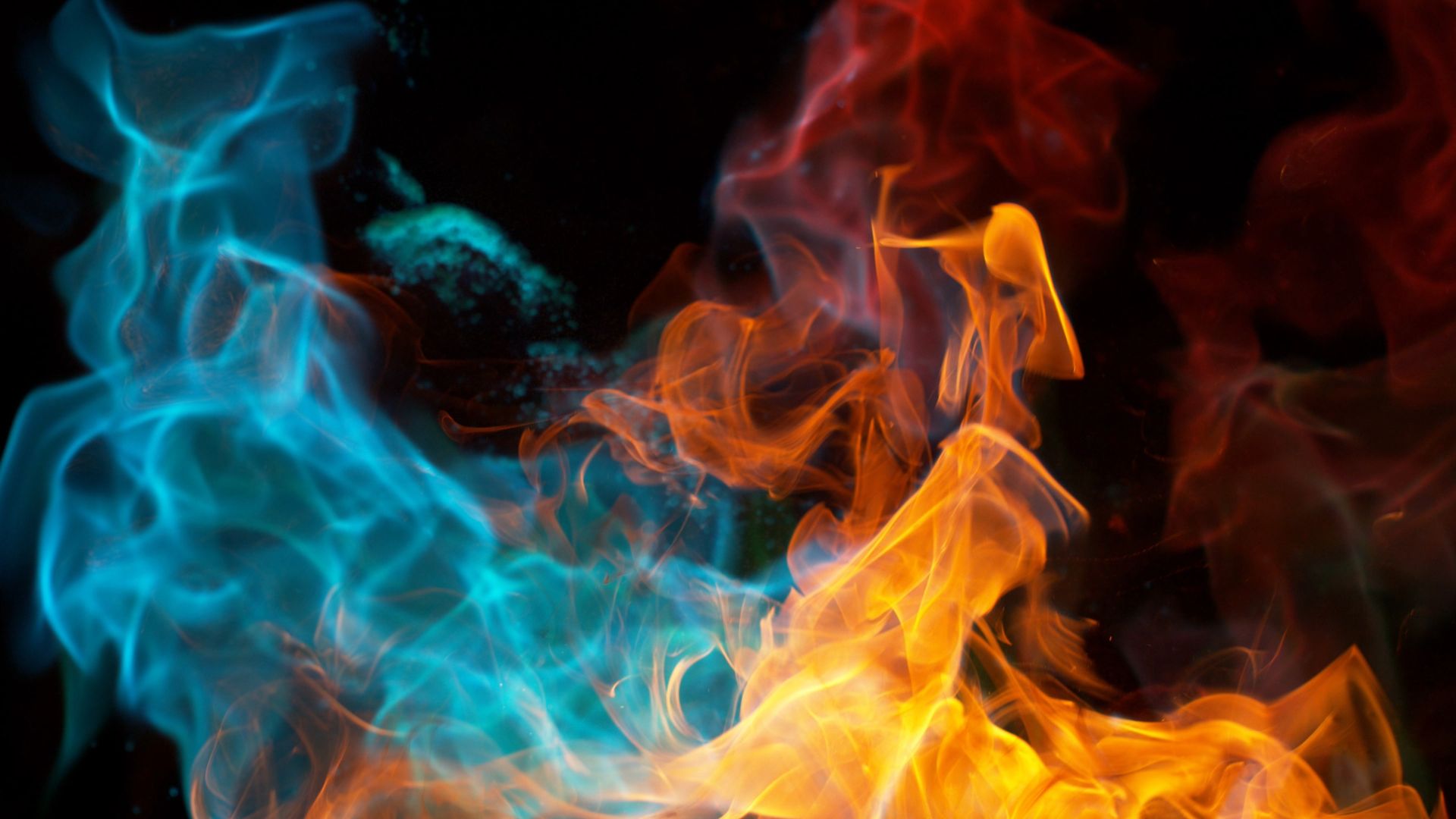 Twin Flame vs Soulmate: What's the Difference?